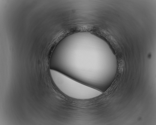 X0000098030716200803280731