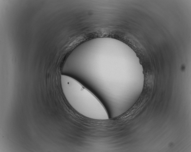 X0000098030719200803280731