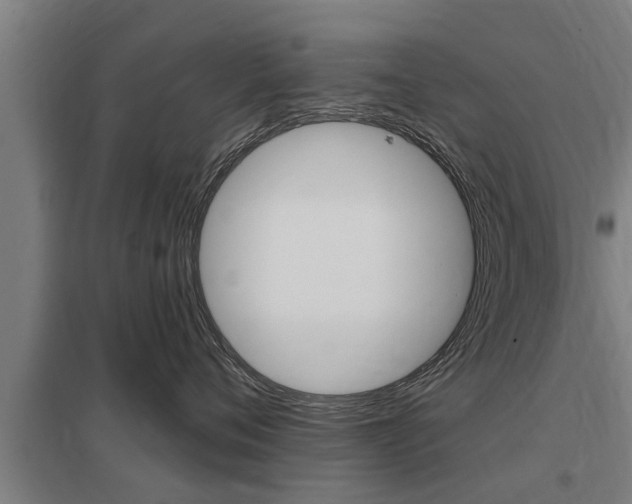 X0000098030720200803280731