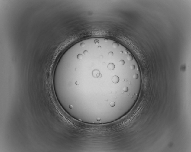 X0000098030721200803280730