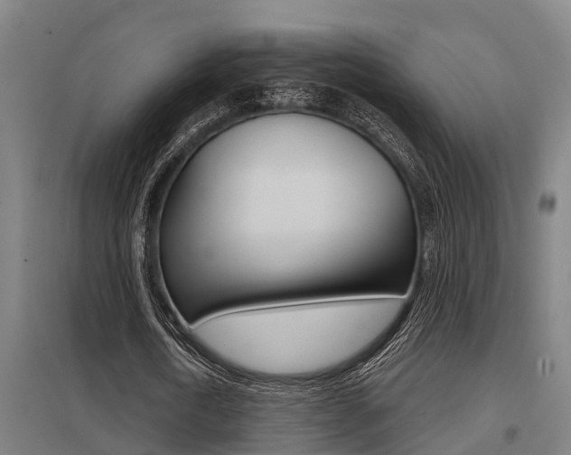 X0000098030722200803280730