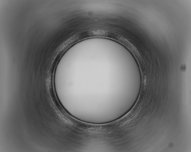 X0000098030725200803280730
