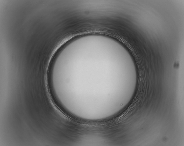 X0000098030726200803280730