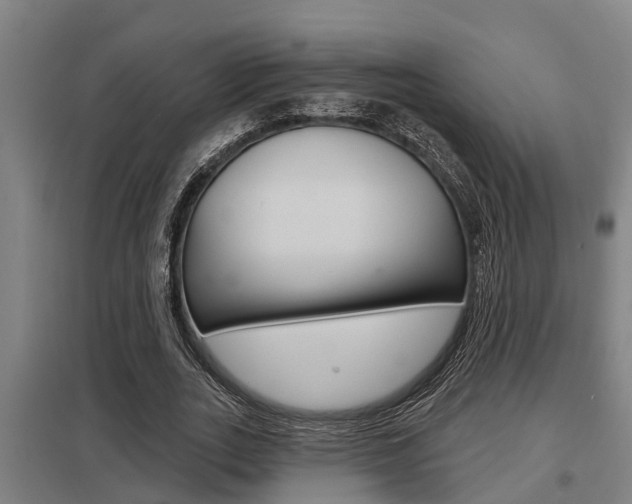 X0000098030727200803280730