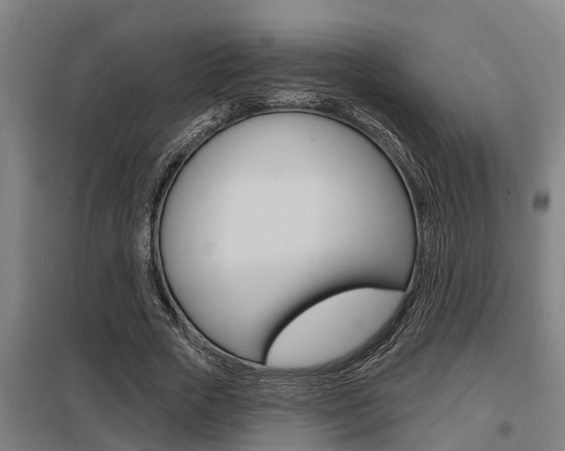 X0000098030729200803280730