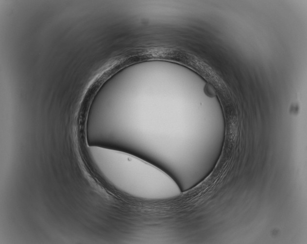 X0000098030730200803280730