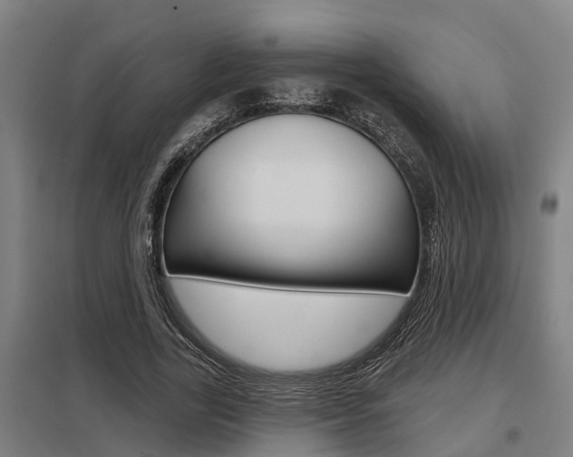 X0000098030731200803280730