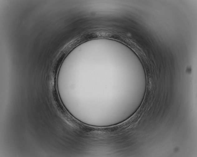 X0000098030733200803280730