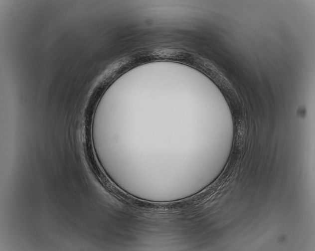 X0000098030734200803280730