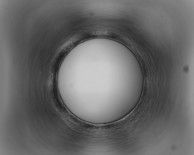 X0000098030735200803280730