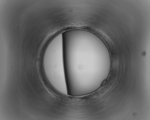 X0000098030736200803280730