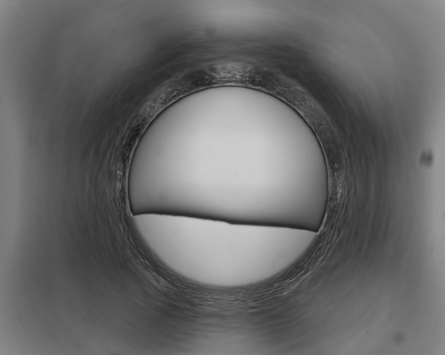 X0000098030737200803280730