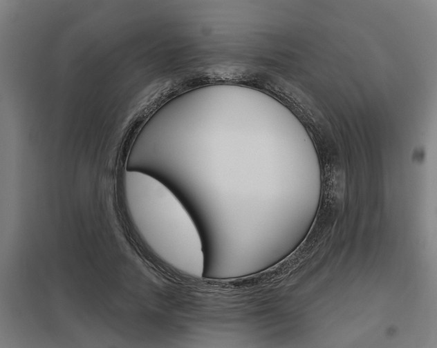 X0000098030738200803280730