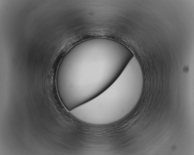 X0000098030739200803280730