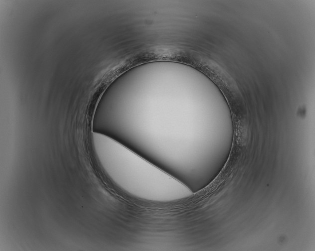 X0000098030740200803280730