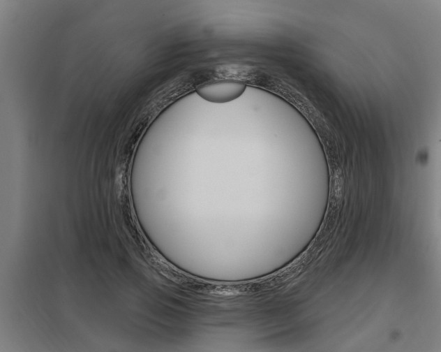 X0000098030741200803280730