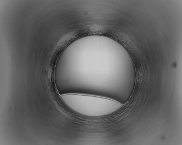 X0000098030742200803280730