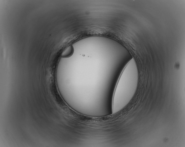 X0000098030743200803280730