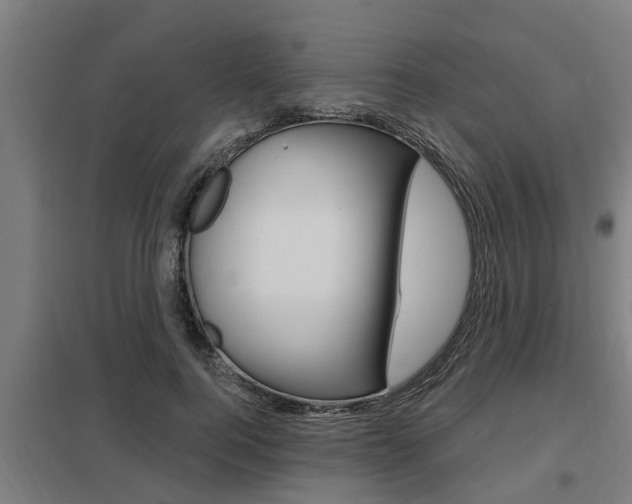 X0000098030744200803280731