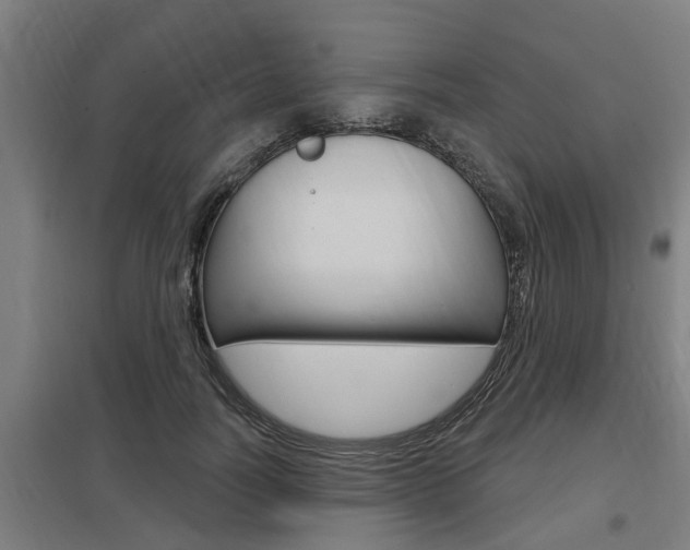 X0000098030746200803280731