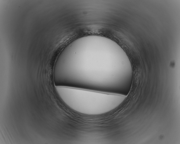 X0000098030747200803280731