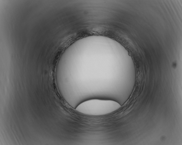 X0000098030749200803280731