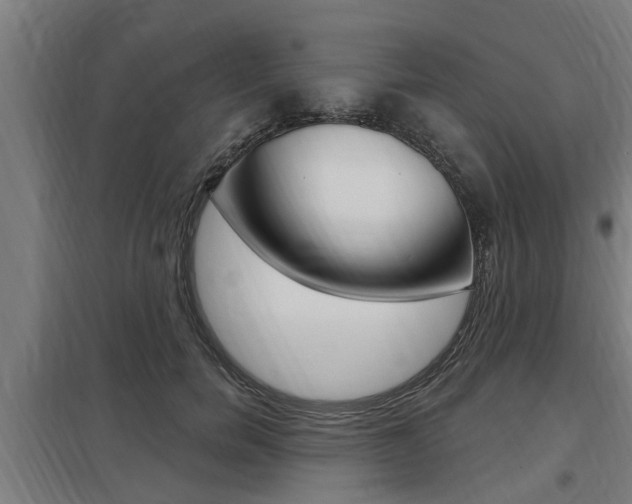 X0000098030750200803280731