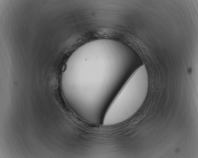 X0000098030751200803280731