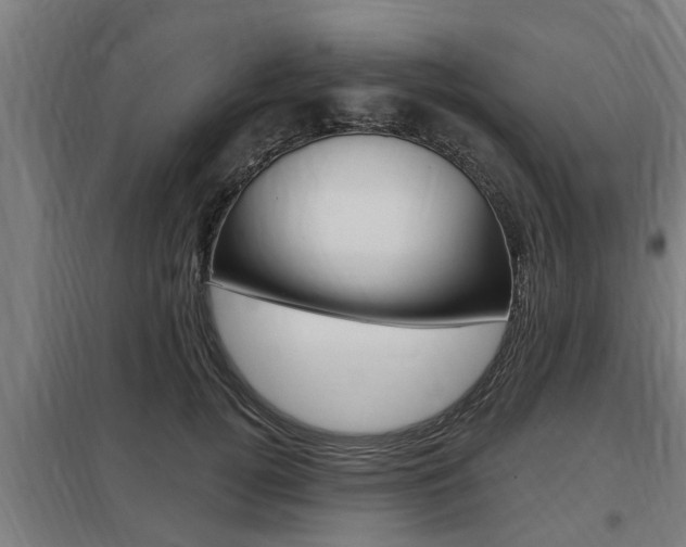 X0000098030752200803280731