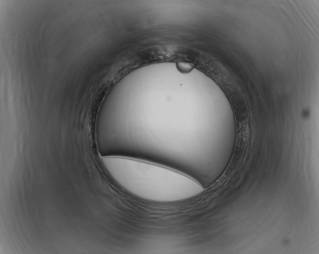 X0000098030754200803280731