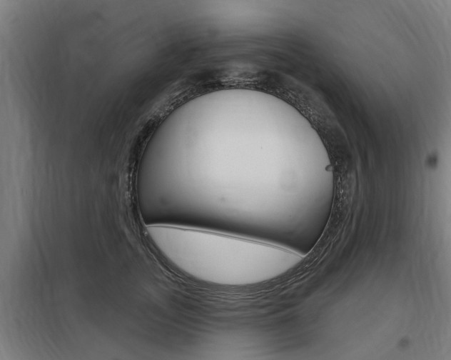 X0000098030755200803280731
