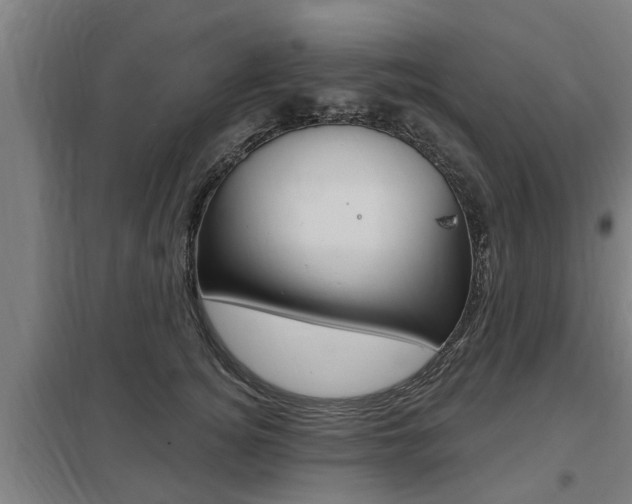 X0000098030756200803280731