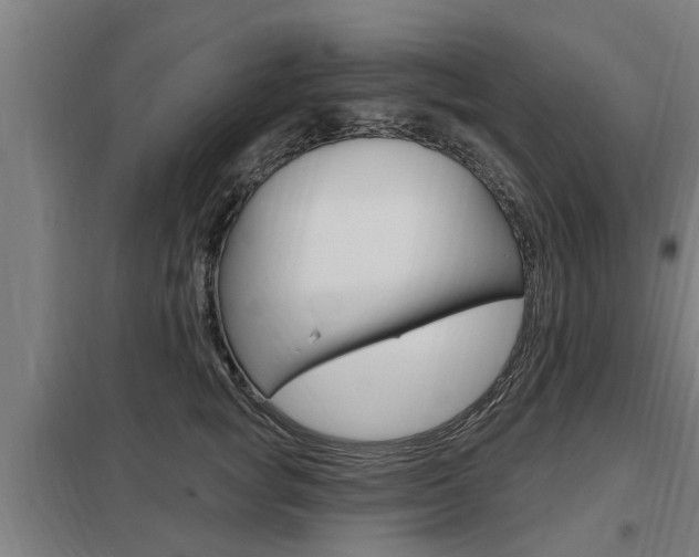 X0000098030757200803280731