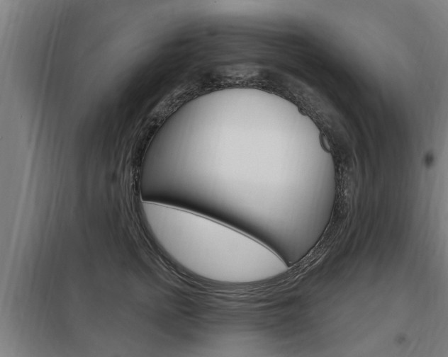 X0000098030758200803280731