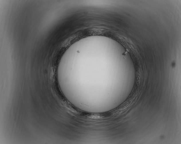 X0000098030759200803280731