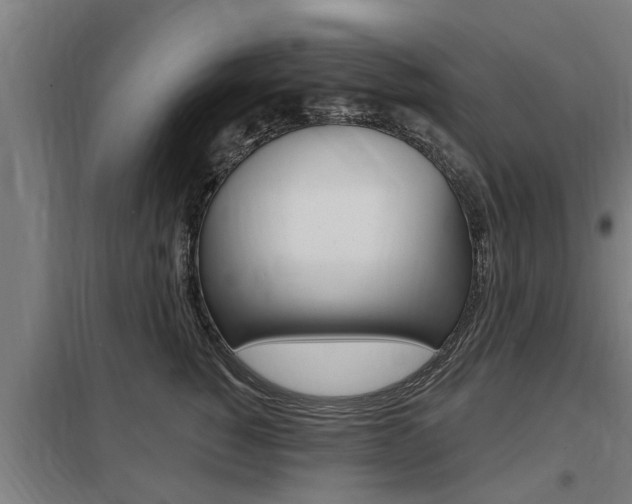 X0000098030760200803280731
