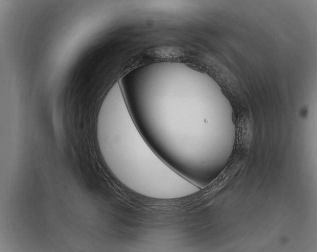 X0000098030762200803280731