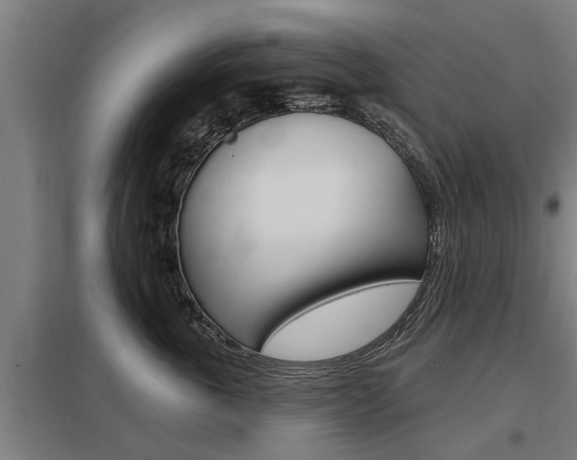 X0000098030763200803280731