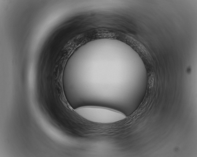 X0000098030764200803280731