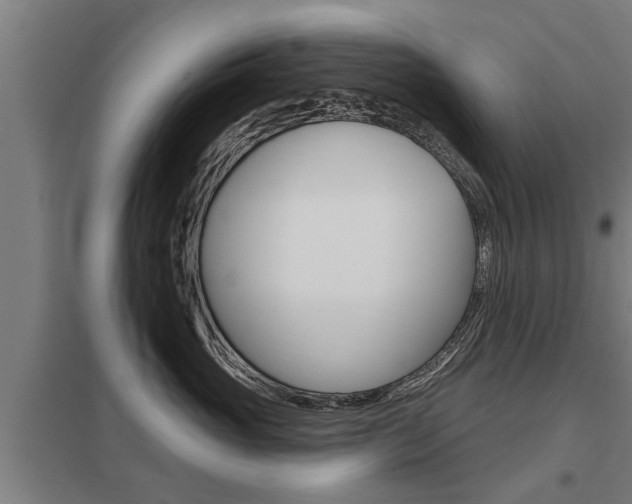 X0000098030765200803280731