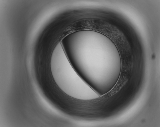 X0000098030766200803280731