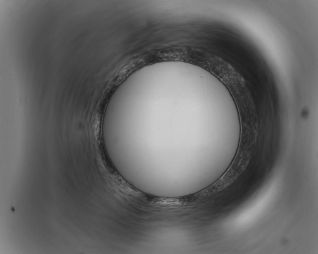 X0000098030767200803280731