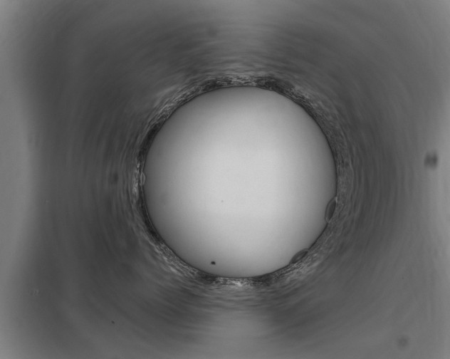 X0000098030768200803280731