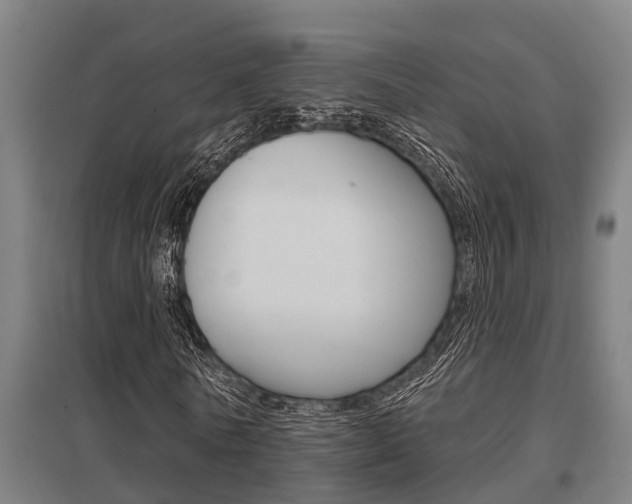 X0000098030770200803280730