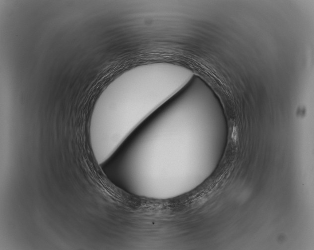 X0000098030771200803280730