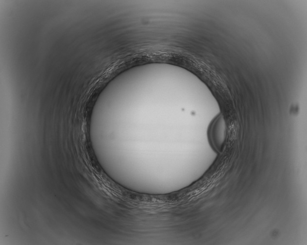 X0000098030772200803280730
