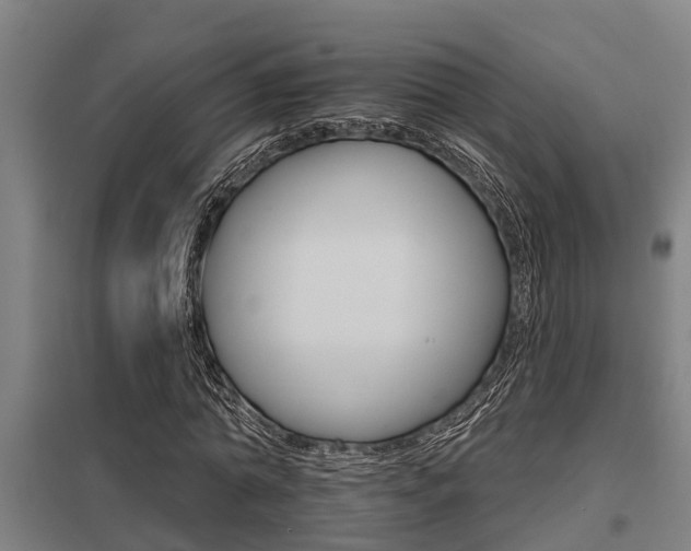 X0000098030774200803280730