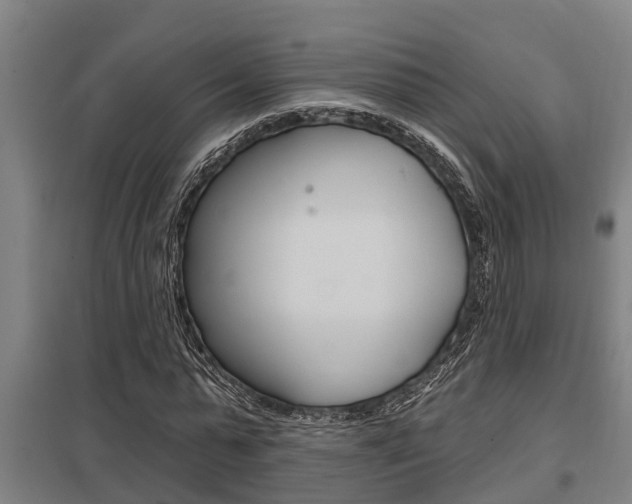 X0000098030775200803280730