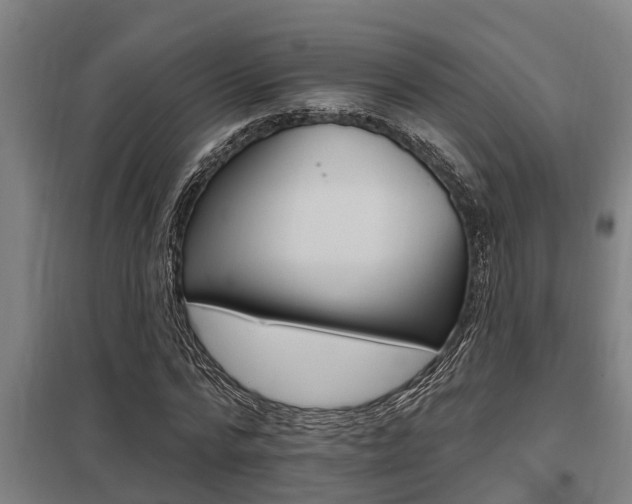 X0000098030776200803280730