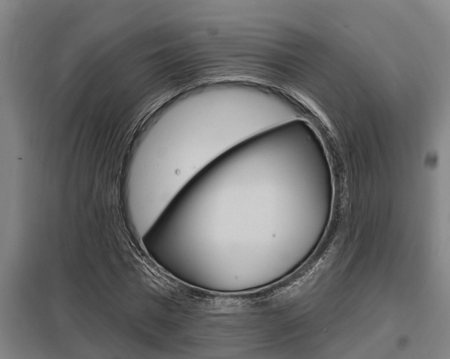 X0000098030777200803280730